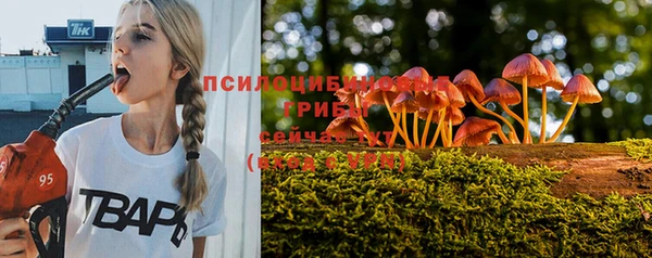 прущая мука Бугульма